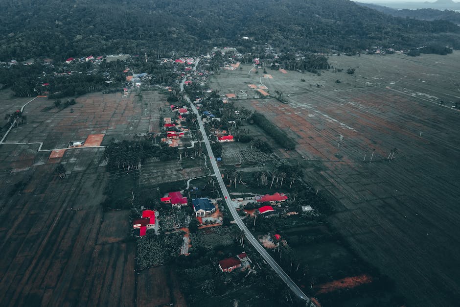 An aerial view of a rural area featuring a narrow road running through a patchwork of fields and residential properties. Several houses with red and dark roofing are visible along the road, some with surrounding gardens and trees. Adjacent to the road, there are open green spaces and cultivated land, with a mix of fencing and natural boundaries. The scene is illuminated by natural daylight, highlighting the textures of the fields and the arrangement of the buildings, with a distant tree line and hills on the horizon. This image reflects a calm, semi-rural environment suitable for residential relocations and property transfers. The presence of multiple houses and the narrow road suggest a quiet community, where the process of home relocation might involve careful planning for furniture transport and packing logistics, supported by professional removals such as those offered by Man with Van Primrose Hill, operating in this area.