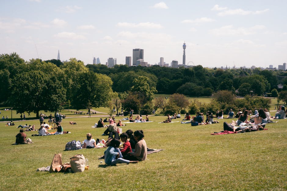 In this outdoor scene, numerous groups of people are seated on blankets and mats spread across a large grassy park, engaging in relaxed activities such as picnicking and socialising during daylight hours. Some individuals are seen with bags, backpacks, and food containers, while others are lying down or sitting upright. The park is bordered by a row of lush green trees, providing a natural boundary between the open space and the distant city skyline, which includes notable high-rise buildings and a tall communication tower. The sky is partly cloudy with soft sunlight illuminating the scene. In the foreground, there is a collection of cardboard boxes, plastic wrapping, and packing materials, suggesting recent or ongoing moving activities. These items are positioned on the grass near the foot of a person carrying a large cardboard box, indicating a furniture transport or home relocation process. The presence of the moving supplies and the told context of handling parking restrictions during Camden moves, as managed by Man with Van Primrose Hill, subtly ties the scene to relocation services and furniture transport logistics.