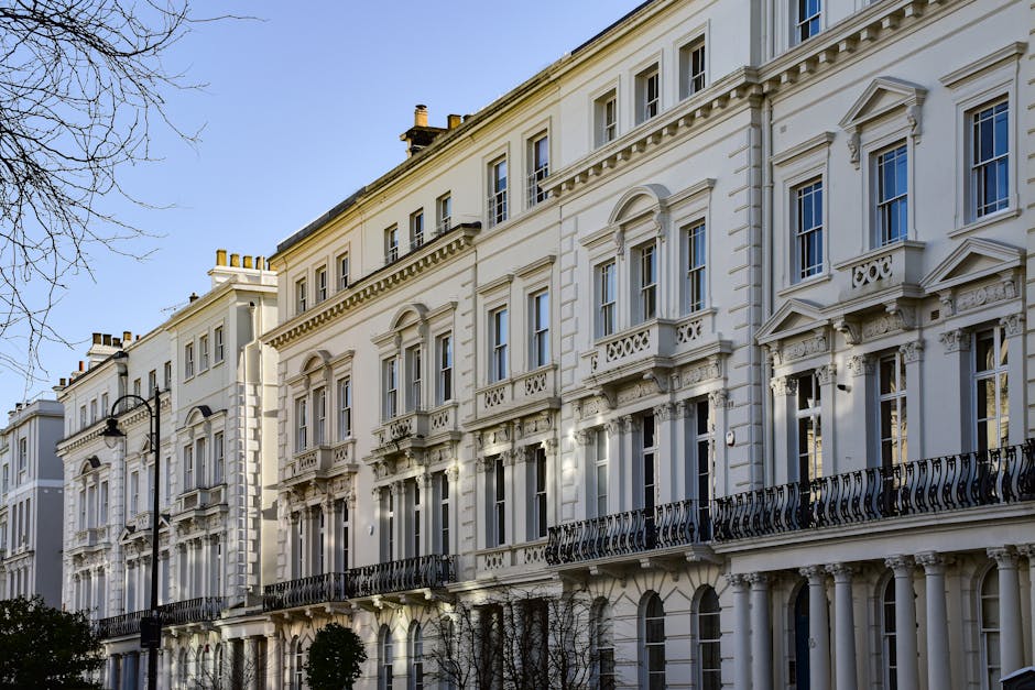 A quiet residential street in Primrose Hill featuring a row of elegant Victorian-style terraced houses with white facades, decorative window surrounds, and small front gardens. Several parked cars, in