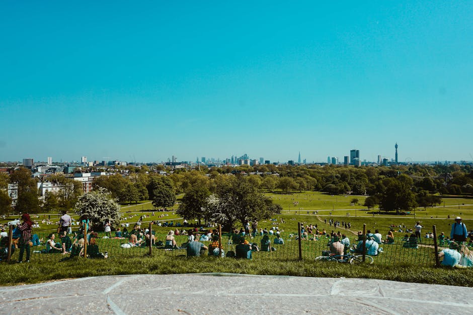 View of Primrose Hill in London on a clear, sunny day, with a large number of people seated on the grassy slopes and walking along designated pathways. In the foreground, a paved area leads to the hill, surrounded by a low wooden fence. Trees with white blossoms and green foliage are scattered across the hill, providing shade and scenery. Beyond the park, the London skyline features various high-rise buildings and iconic landmarks, visible under a bright blue sky with minimal clouds. While the image primarily captures the outdoor environment, it reflects the context of home relocation or moving activities in an urban park setting, with no direct furniture, boxes, or moving equipment visible. The scene suggests a peaceful day at the park, potentially related to outdoor relaxation or preparations for moving activities involving gathering or transport of belongings to or from nearby residences, with the visibility of the city skyline emphasizing an urban location relevant to house removals or relocation services like Man with Van Primrose Hill.