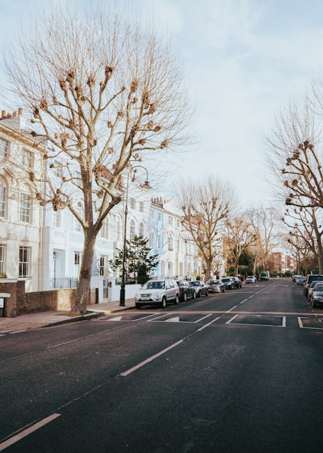 A residential street scene on Regent's Park Road in Primrose Hill during daytime, featuring a row of white and pastel-coloured terraced houses with large windows and decorative facades. Several leafless trees line the pavement, indicating a winter or early spring setting. Parked along the curb are various vehicles, including a white van, which is likely used for home relocation or furniture transport, reflecting the services of Man with Van Primrose Hill in house removals. The van is positioned near the pavement, with its rear doors closed, suggesting a loading or unloading process. The street appears calm with no pedestrians visible, and the lighting is natural and diffuse, emphasizing the organized and professional environment typical of moving and packing activities in the area. This scene illustrates the typical environment for a house move, highlighting the importance of planning access and space for efficient loading and transport during home relocations around Primrose Hill.