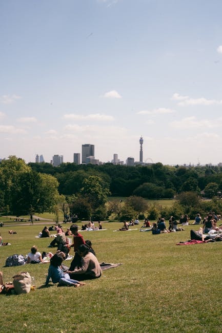 A large outdoor park area with a gently sloping grassy field populated by numerous people seated on blankets and low chairs, engaged in picnicking, relaxing, or socialising under a clear blue sky with scattered white clouds. Several trees are visible along the edge of the park, providing shade and greenery, while in the distant background, there is a city skyline featuring modern high-rise buildings and a notable tall, slender television tower. The scene suggests a calm, sunny day suitable for outdoor leisure activities, with no visible furniture or equipment related to house removals or moving services. This peaceful urban park setting highlights a typical recreational space within a city environment, supporting accessibility and community gatherings.